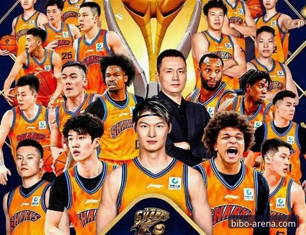 王哲林14年首冠 vs 生涯最强总决赛：必博体育平台深度解析v5.0.0渲染引擎如何捕捉每一个关键帧